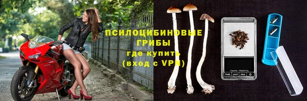каннабис Арсеньев
